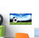 Soccer Sport Wall Mural