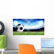 Soccer Sport Wall Mural