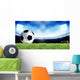 Soccer Sport Wall Mural