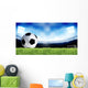 Soccer Sport Wall Mural