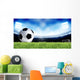 Soccer Sport Wall Mural
