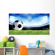 Soccer Sport Wall Mural