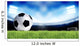 Soccer Sport Wall Mural