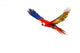 Colourful Flying Parrot White