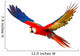 Colourful Flying Parrot White