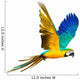 Colourful flying parrot Wall Decal