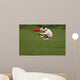 Funny Catching