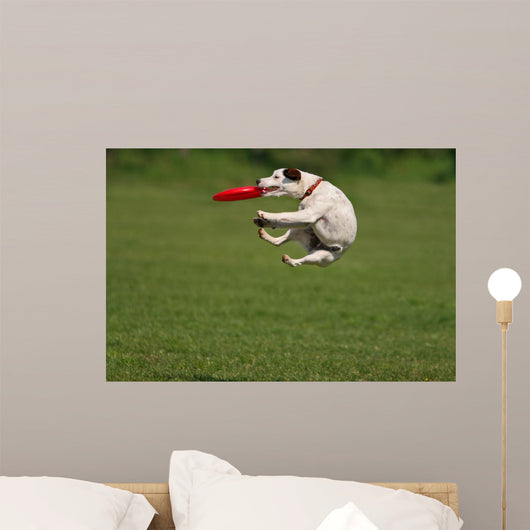 Funny Catching