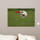 Funny Catching