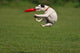 Funny Catching