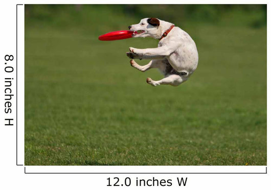 Funny Catching