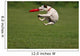 Funny Catching