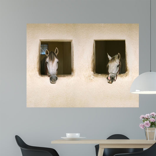 Two Horses