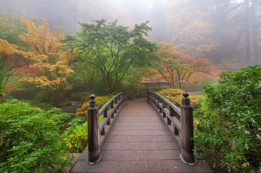Moon Bridge Japanese Garden