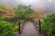 Moon Bridge Japanese Garden