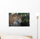 Jaguar Wall Mural