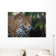 Jaguar Wall Mural