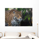 Jaguar Wall Mural