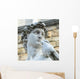 David by Michelangelo Wall Mural