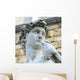 David by Michelangelo Wall Mural