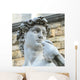 David by Michelangelo Wall Mural