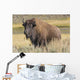 American Bison on the Plains Wall Mural