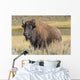 American Bison on the Plains Wall Mural