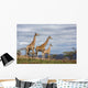 giraffes in game reserve Wall Mural