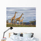 giraffes in game reserve Wall Mural