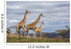 giraffes in game reserve Wall Mural