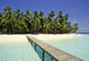 summer maldives pier Wall Mural
