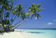 Beautiful Blue Maldives Wall Mural