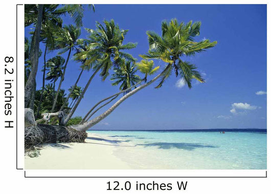 Beautiful Blue Maldives Wall Mural