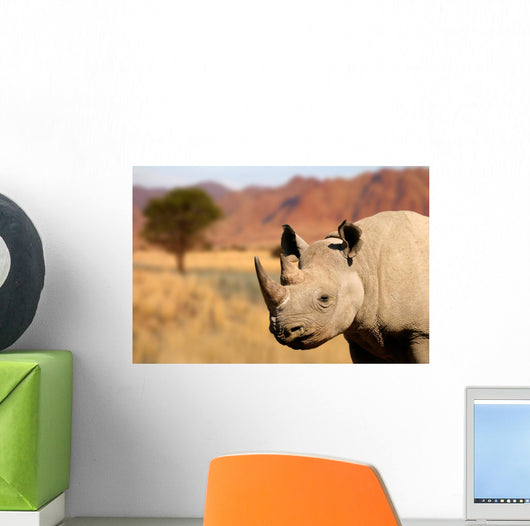 black rhinoceros Wall Mural