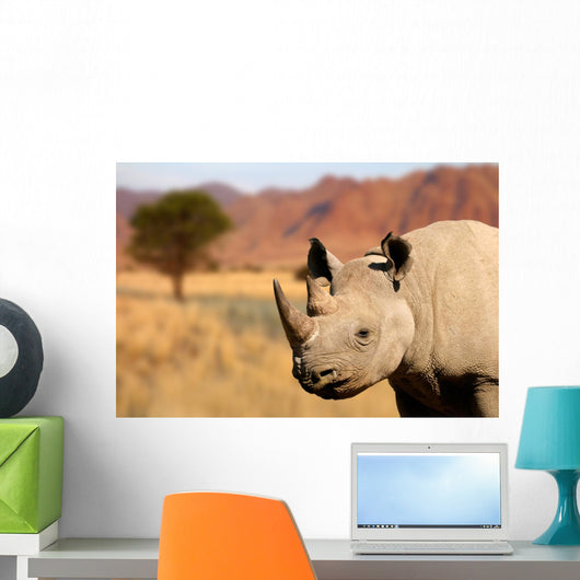 black rhinoceros Wall Mural