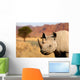 black rhinoceros Wall Mural