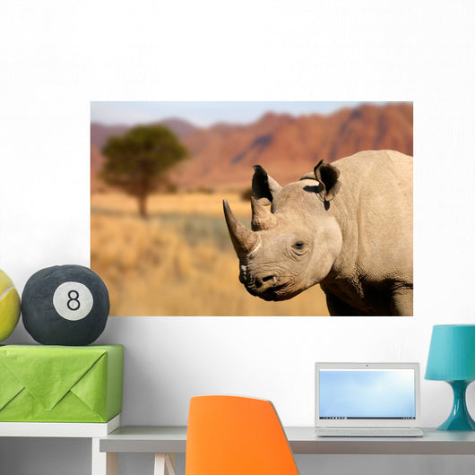 black rhinoceros Wall Mural