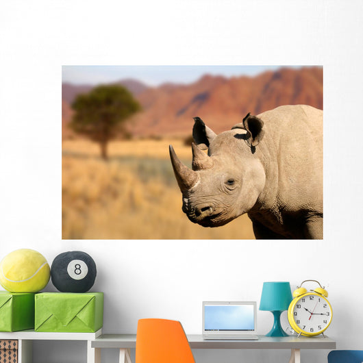 black rhinoceros Wall Mural