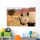 black rhinoceros Wall Mural