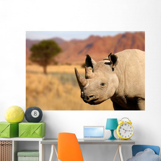 black rhinoceros Wall Mural