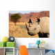 black rhinoceros Wall Mural