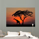 Silhouetted tree and giraffe against a red sunset Wall Mural