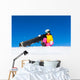 Female Snowboarder Mountain Wall Mural