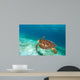 Hawksbill Sea Turtle