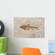fossil fish Wall Mural