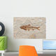 fossil fish Wall Mural