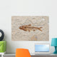 fossil fish Wall Mural