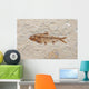 fossil fish Wall Mural