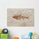 fossil fish Wall Mural