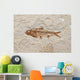 fossil fish Wall Mural